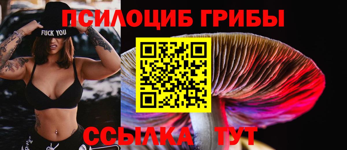 Чебаркуль  Галлюциногенные грибы ЛСД  Вход с VPN 